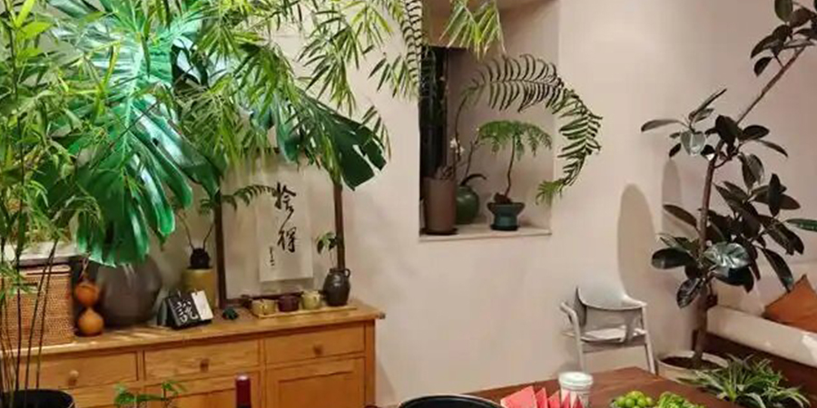 送貨與退貨條款